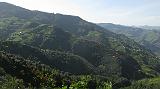 IMG_6165 - Copy